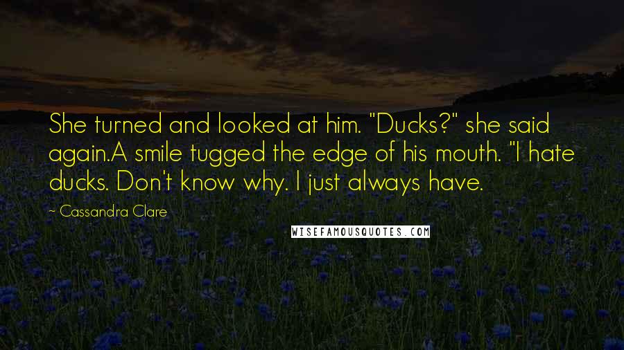 Cassandra Clare Quotes: She turned and looked at him. "Ducks?" she said again.A smile tugged the edge of his mouth. "I hate ducks. Don't know why. I just always have.