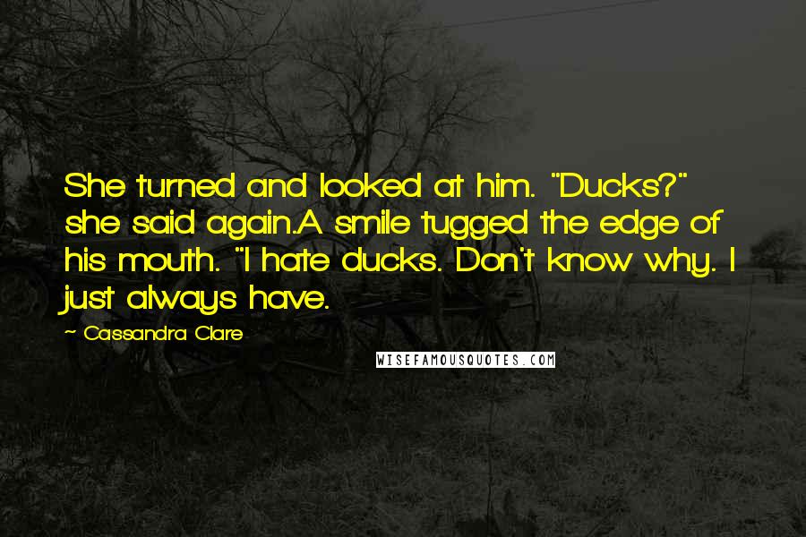 Cassandra Clare Quotes: She turned and looked at him. "Ducks?" she said again.A smile tugged the edge of his mouth. "I hate ducks. Don't know why. I just always have.