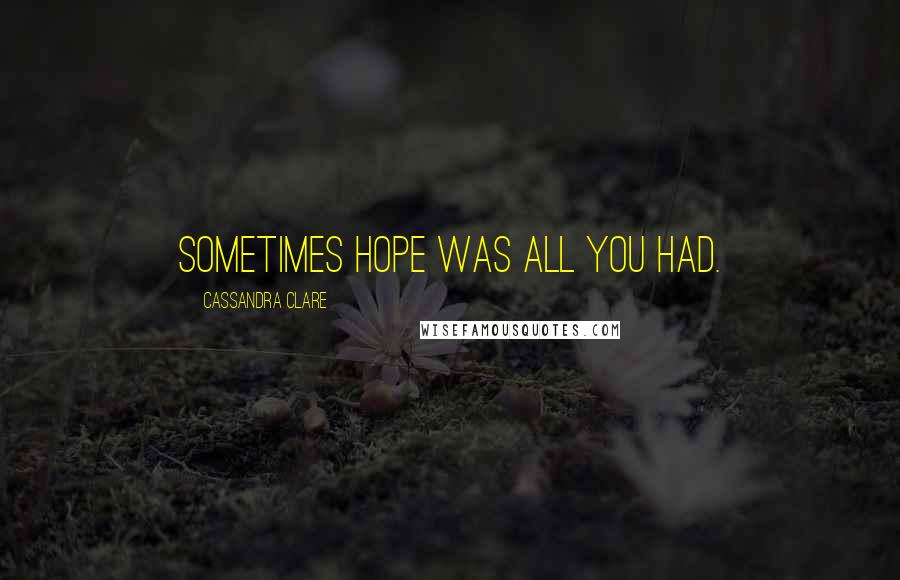 Cassandra Clare Quotes: Sometimes hope was all you had.