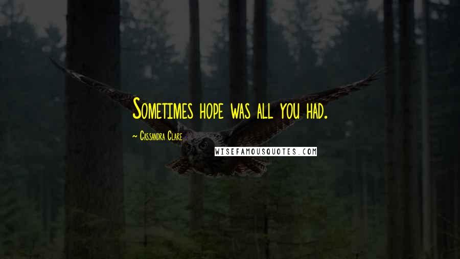 Cassandra Clare Quotes: Sometimes hope was all you had.