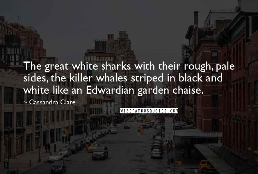 Cassandra Clare Quotes: The great white sharks with their rough, pale sides, the killer whales striped in black and white like an Edwardian garden chaise.