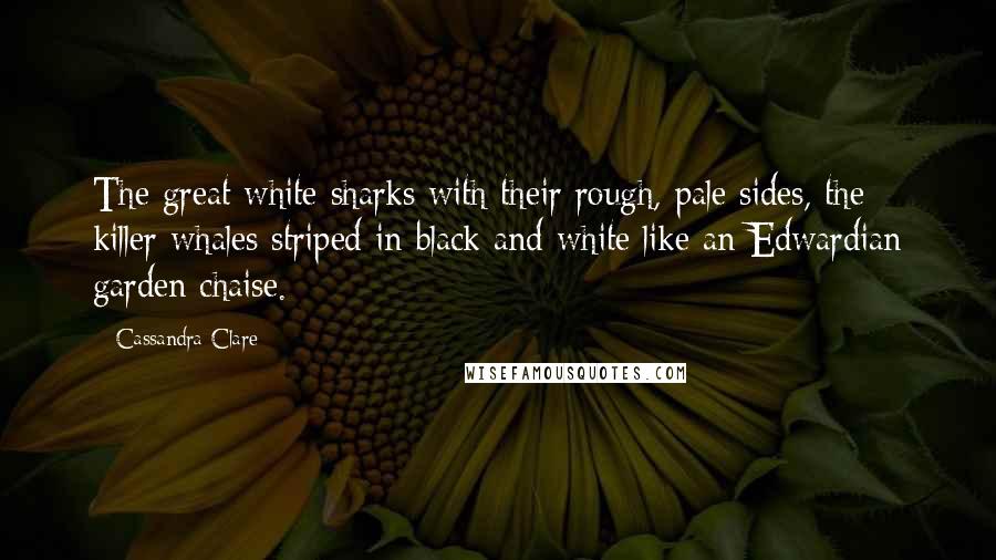 Cassandra Clare Quotes: The great white sharks with their rough, pale sides, the killer whales striped in black and white like an Edwardian garden chaise.