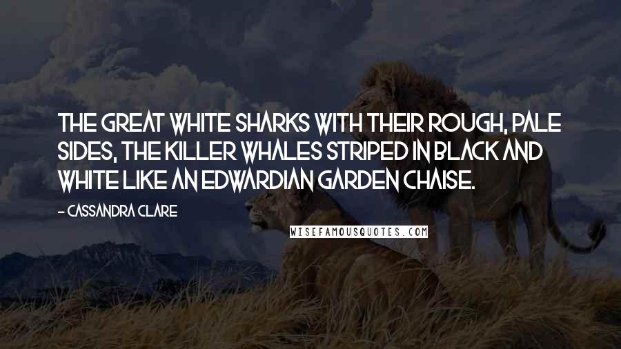 Cassandra Clare Quotes: The great white sharks with their rough, pale sides, the killer whales striped in black and white like an Edwardian garden chaise.