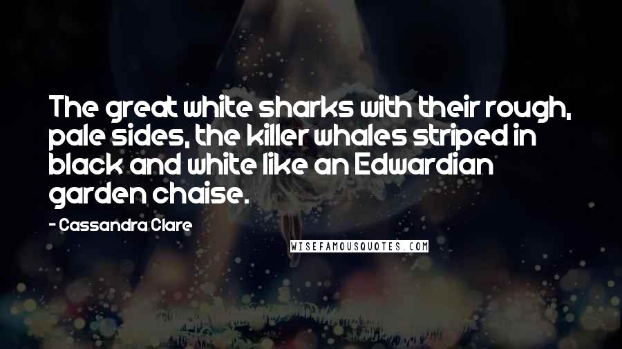 Cassandra Clare Quotes: The great white sharks with their rough, pale sides, the killer whales striped in black and white like an Edwardian garden chaise.