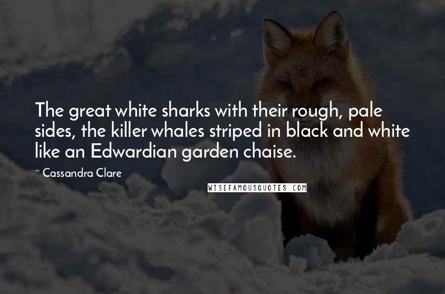 Cassandra Clare Quotes: The great white sharks with their rough, pale sides, the killer whales striped in black and white like an Edwardian garden chaise.