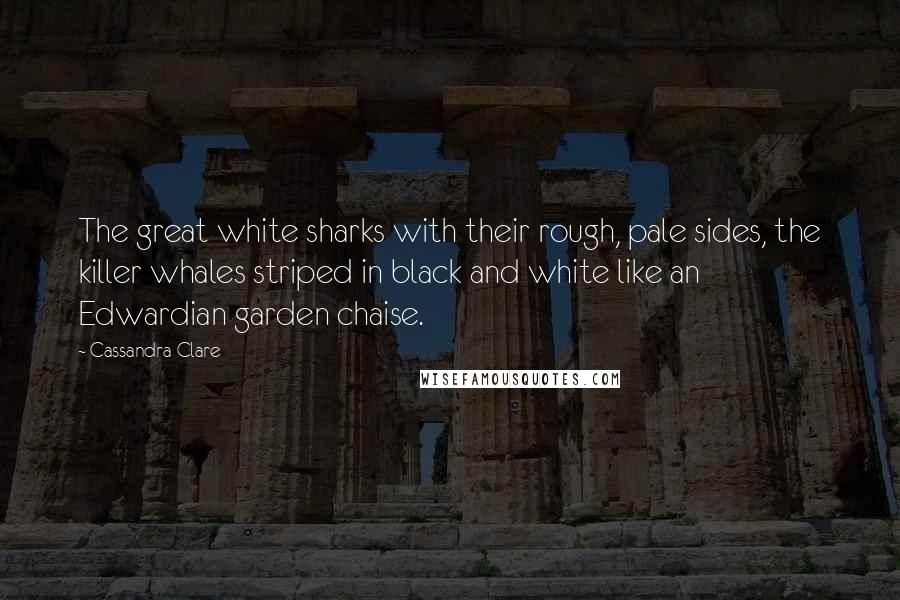 Cassandra Clare Quotes: The great white sharks with their rough, pale sides, the killer whales striped in black and white like an Edwardian garden chaise.