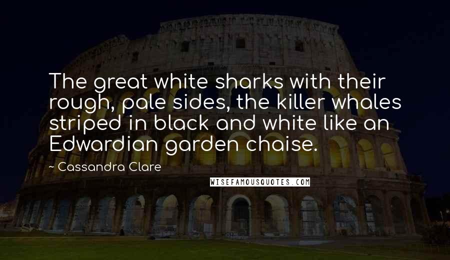 Cassandra Clare Quotes: The great white sharks with their rough, pale sides, the killer whales striped in black and white like an Edwardian garden chaise.