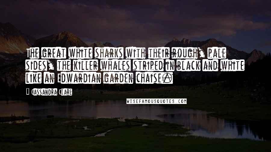 Cassandra Clare Quotes: The great white sharks with their rough, pale sides, the killer whales striped in black and white like an Edwardian garden chaise.