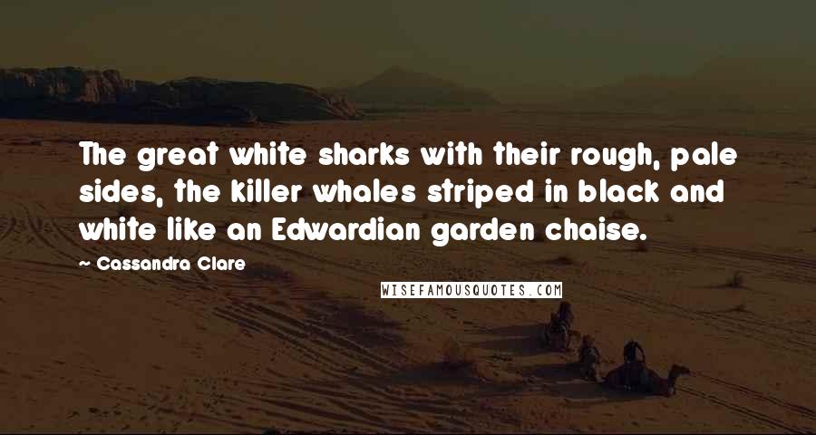 Cassandra Clare Quotes: The great white sharks with their rough, pale sides, the killer whales striped in black and white like an Edwardian garden chaise.