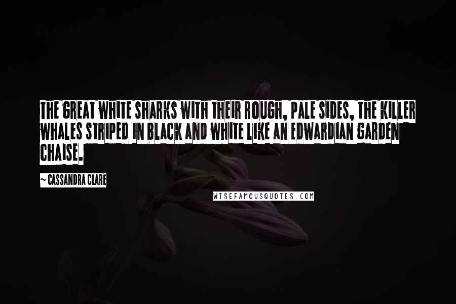 Cassandra Clare Quotes: The great white sharks with their rough, pale sides, the killer whales striped in black and white like an Edwardian garden chaise.