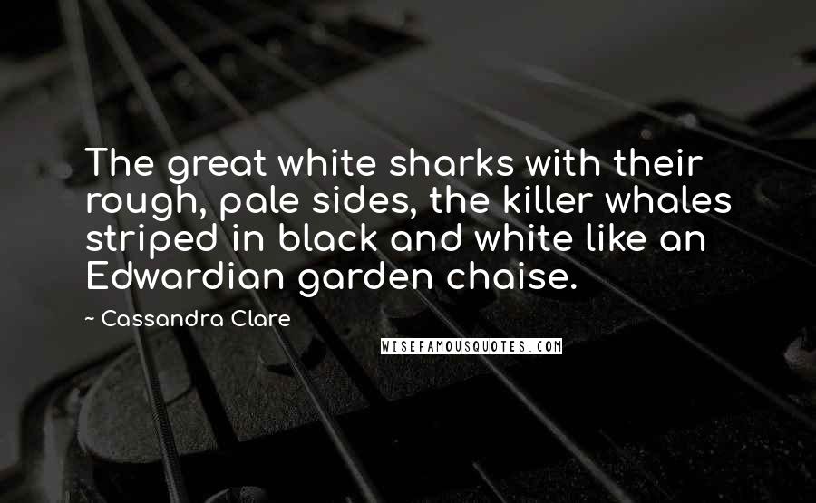 Cassandra Clare Quotes: The great white sharks with their rough, pale sides, the killer whales striped in black and white like an Edwardian garden chaise.