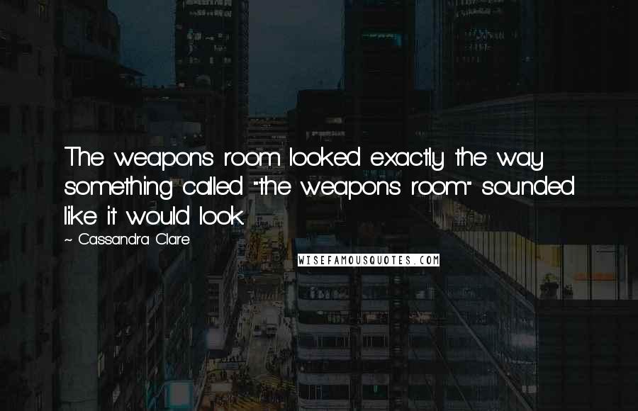 Cassandra Clare Quotes: The weapons room looked exactly the way something called "the weapons room" sounded like it would look.