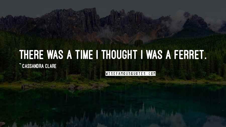 Cassandra Clare Quotes: There was a time I thought I was a ferret.