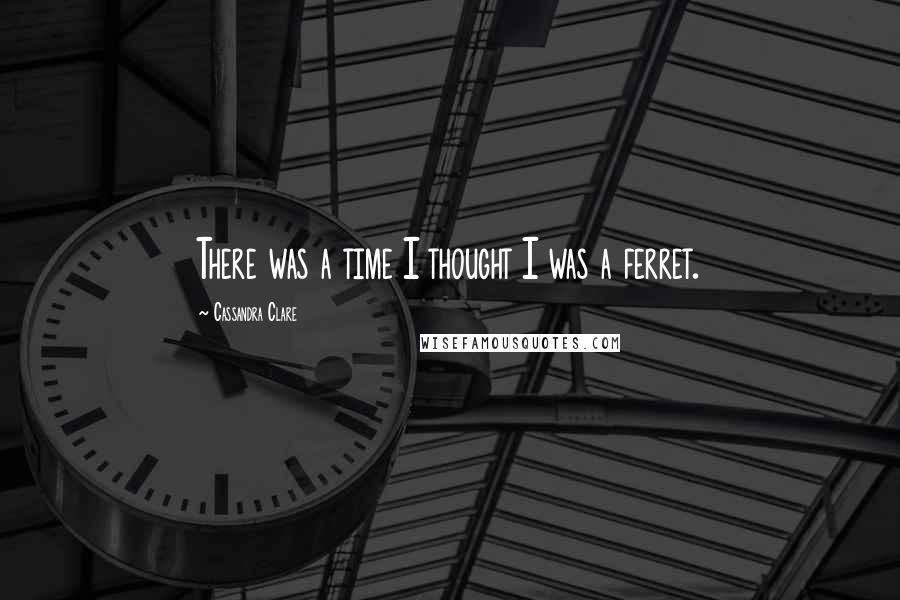 Cassandra Clare Quotes: There was a time I thought I was a ferret.