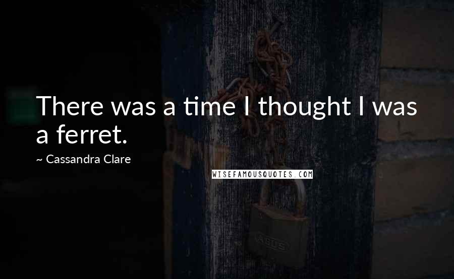 Cassandra Clare Quotes: There was a time I thought I was a ferret.