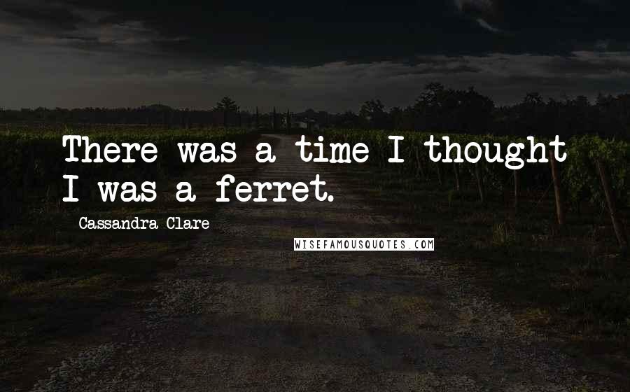 Cassandra Clare Quotes: There was a time I thought I was a ferret.