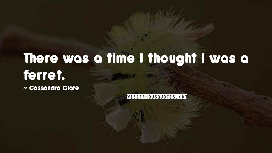 Cassandra Clare Quotes: There was a time I thought I was a ferret.