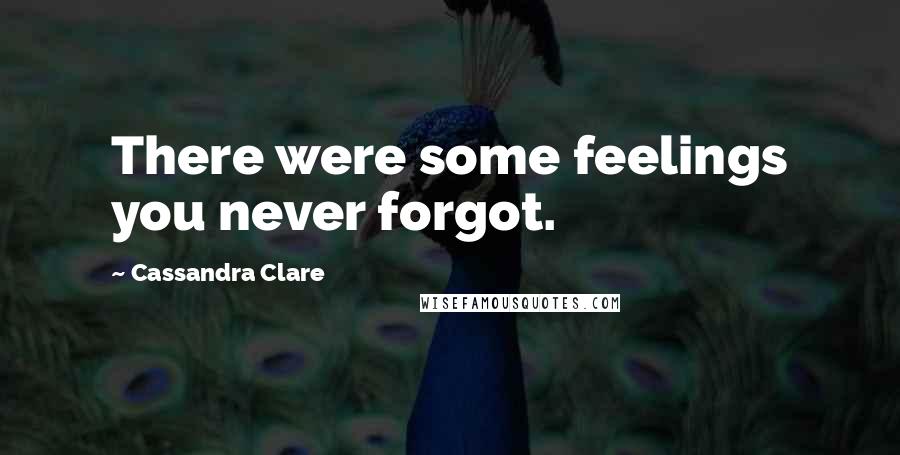 Cassandra Clare Quotes: There were some feelings you never forgot.