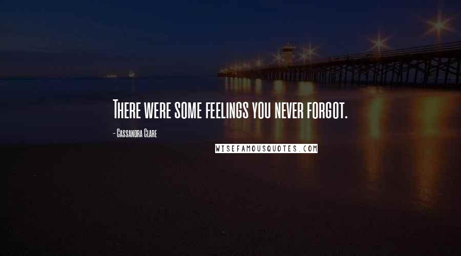 Cassandra Clare Quotes: There were some feelings you never forgot.