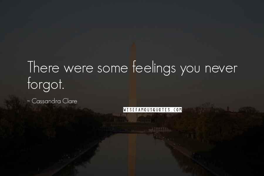 Cassandra Clare Quotes: There were some feelings you never forgot.