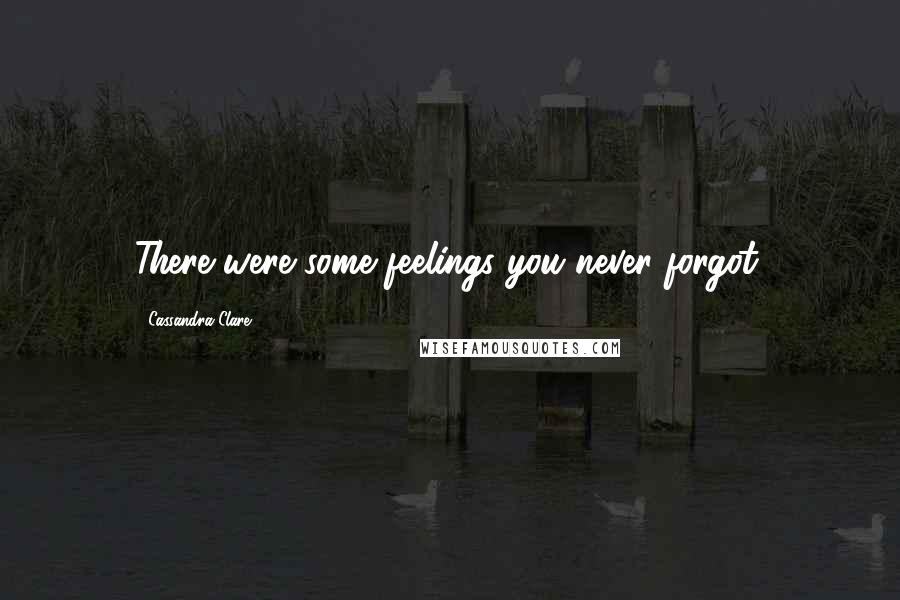 Cassandra Clare Quotes: There were some feelings you never forgot.