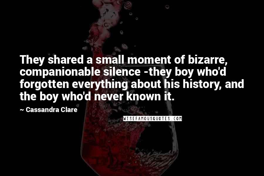 Cassandra Clare Quotes: They shared a small moment of bizarre, companionable silence -they boy who'd forgotten everything about his history, and the boy who'd never known it.