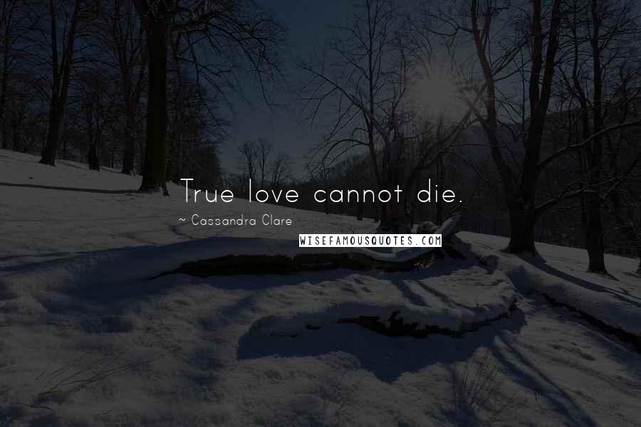 Cassandra Clare Quotes: True love cannot die.