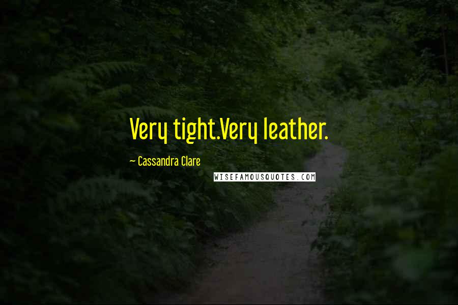 Cassandra Clare Quotes: Very tight.Very leather.