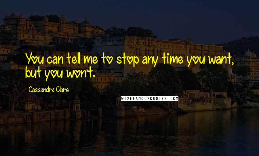 Cassandra Clare Quotes: You can tell me to stop any time you want, but you won't.