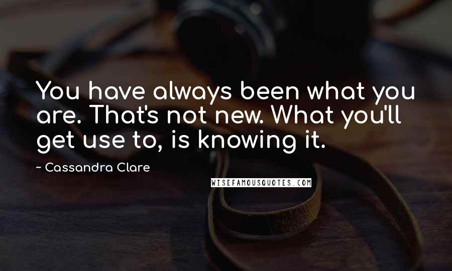 Cassandra Clare Quotes: You have always been what you are. That's not new. What you'll get use to, is knowing it.