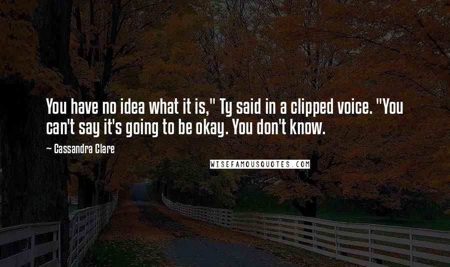 Cassandra Clare Quotes: You have no idea what it is," Ty said in a clipped voice. "You can't say it's going to be okay. You don't know.