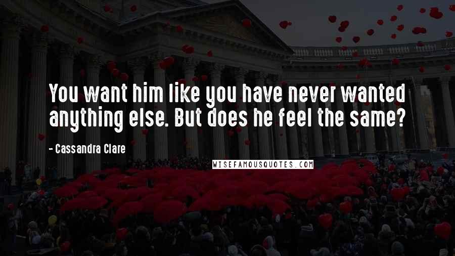 Cassandra Clare Quotes: You want him like you have never wanted anything else. But does he feel the same?