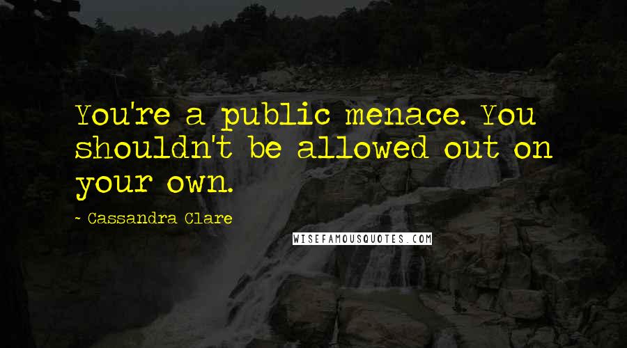 Cassandra Clare Quotes: You're a public menace. You shouldn't be allowed out on your own.