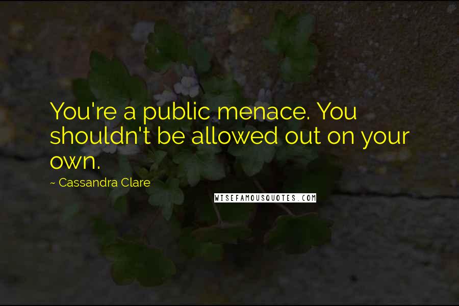 Cassandra Clare Quotes: You're a public menace. You shouldn't be allowed out on your own.