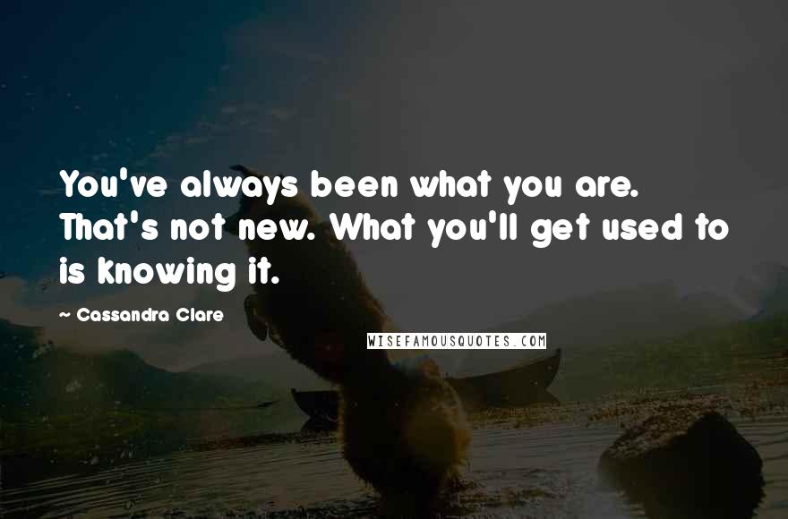 Cassandra Clare Quotes: You've always been what you are. That's not new. What you'll get used to is knowing it.
