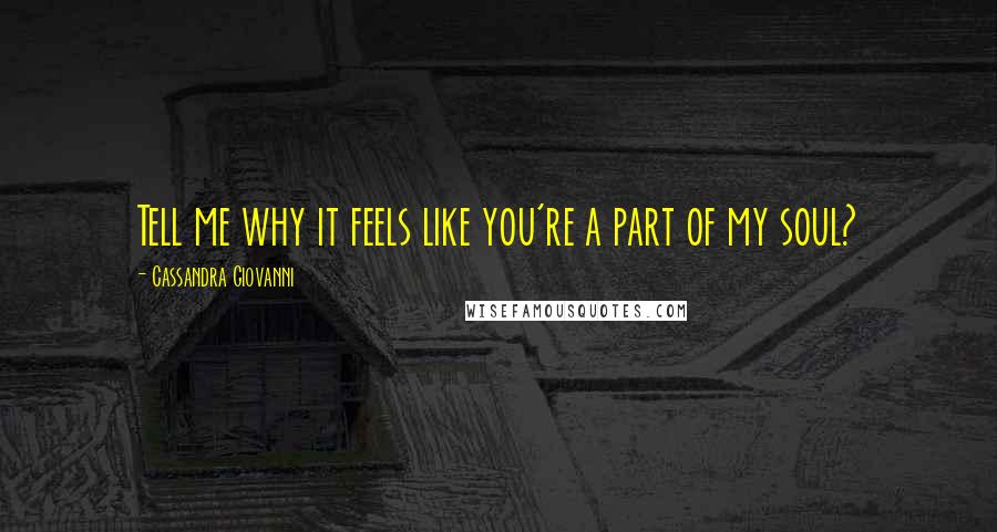 Cassandra Giovanni Quotes: Tell me why it feels like you're a part of my soul?