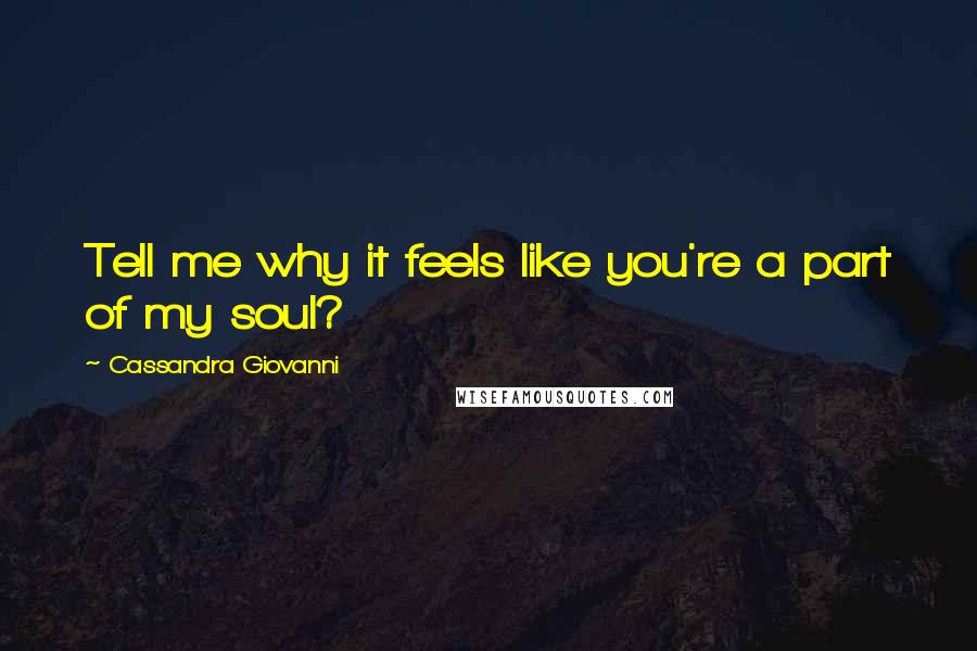 Cassandra Giovanni Quotes: Tell me why it feels like you're a part of my soul?