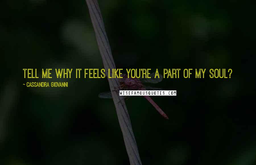 Cassandra Giovanni Quotes: Tell me why it feels like you're a part of my soul?