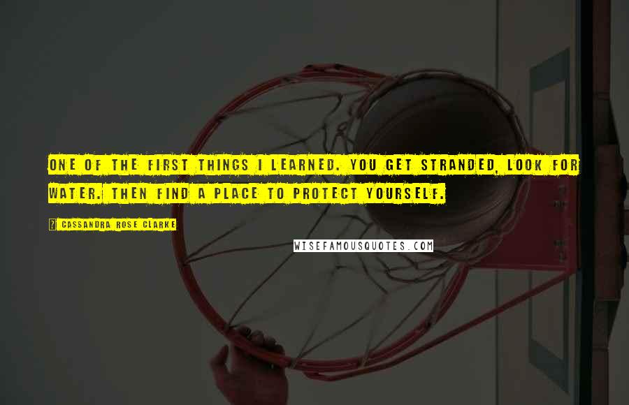 Cassandra Rose Clarke Quotes: One of the first things I learned. You get stranded, look for water. Then find a place to protect yourself.