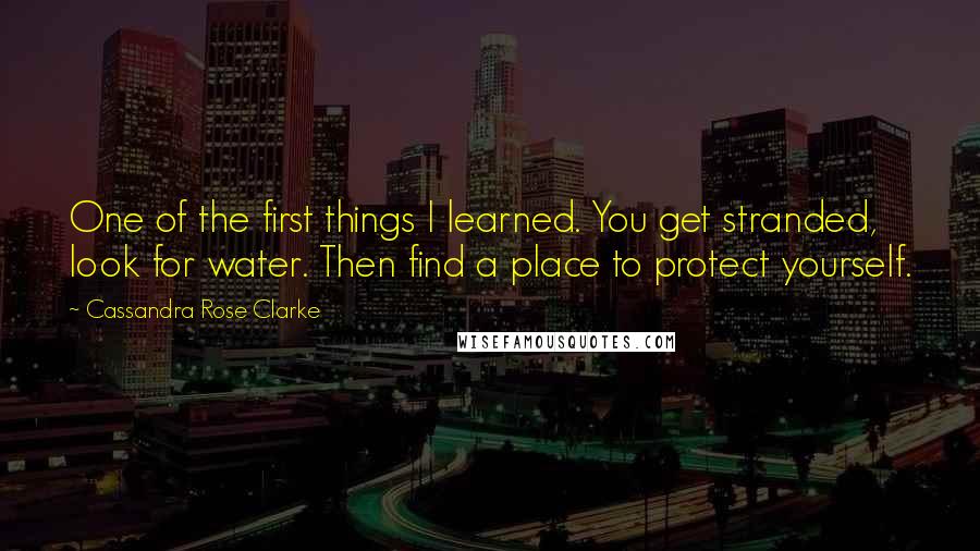 Cassandra Rose Clarke Quotes: One of the first things I learned. You get stranded, look for water. Then find a place to protect yourself.