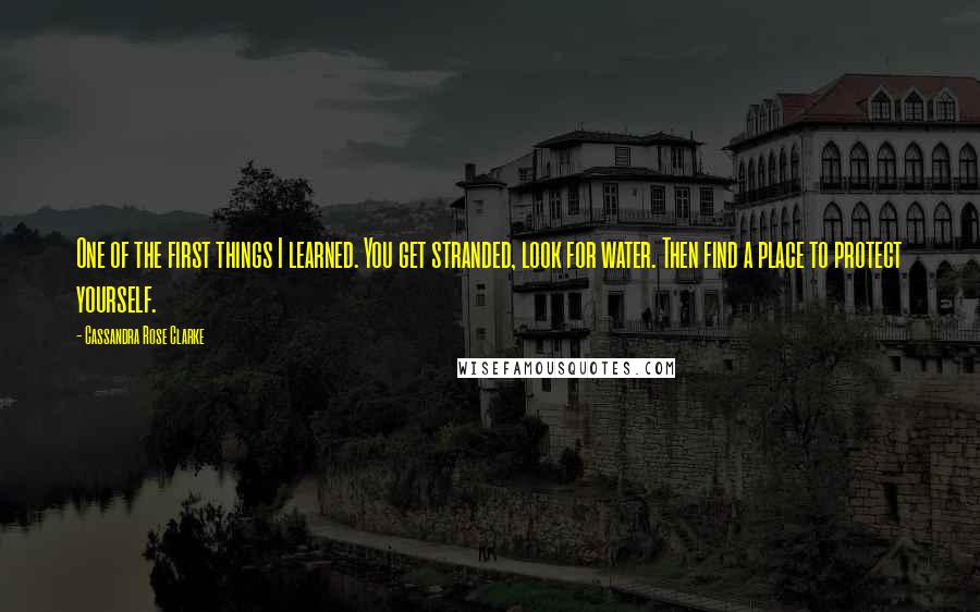 Cassandra Rose Clarke Quotes: One of the first things I learned. You get stranded, look for water. Then find a place to protect yourself.