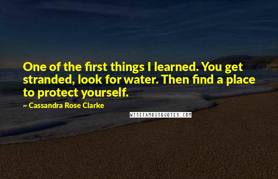 Cassandra Rose Clarke Quotes: One of the first things I learned. You get stranded, look for water. Then find a place to protect yourself.