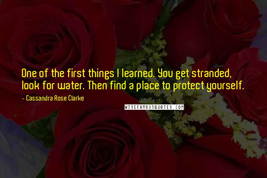 Cassandra Rose Clarke Quotes: One of the first things I learned. You get stranded, look for water. Then find a place to protect yourself.