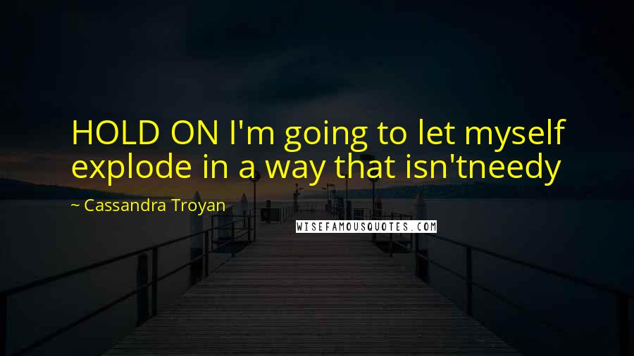 Cassandra Troyan Quotes: HOLD ON I'm going to let myself explode in a way that isn'tneedy