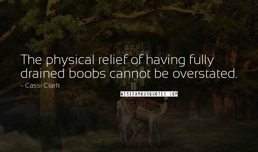 Cassi Clark Quotes: The physical relief of having fully drained boobs cannot be overstated.