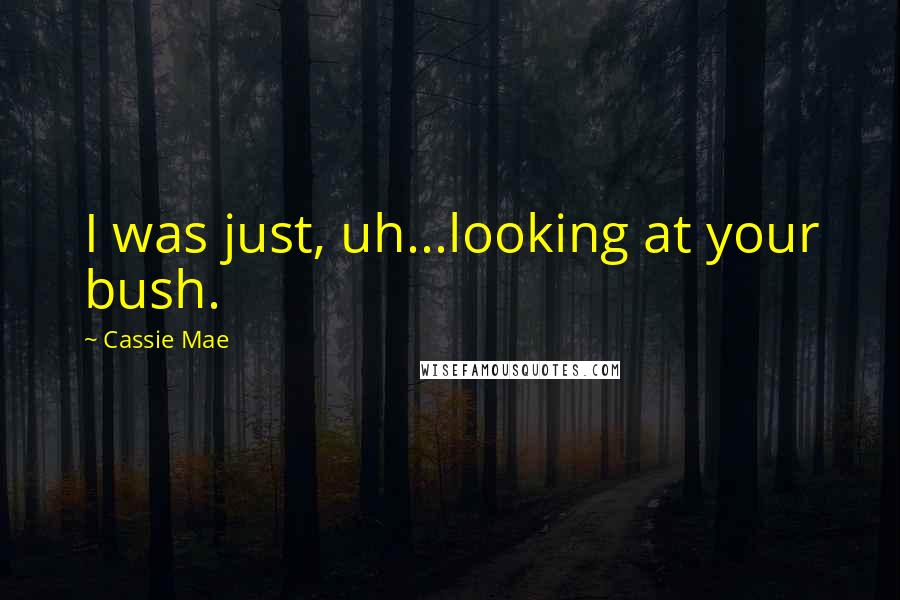 Cassie Mae Quotes: I was just, uh...looking at your bush.