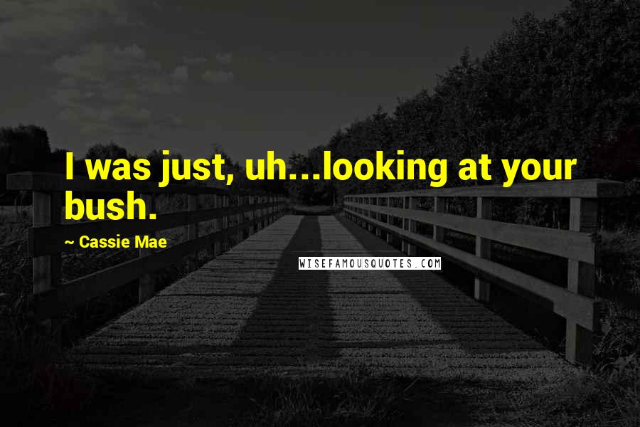 Cassie Mae Quotes: I was just, uh...looking at your bush.