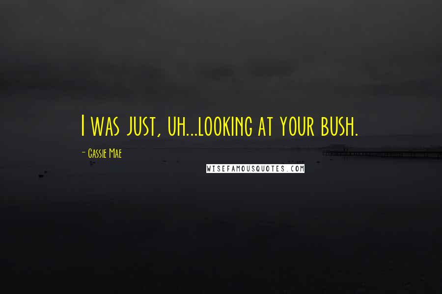 Cassie Mae Quotes: I was just, uh...looking at your bush.