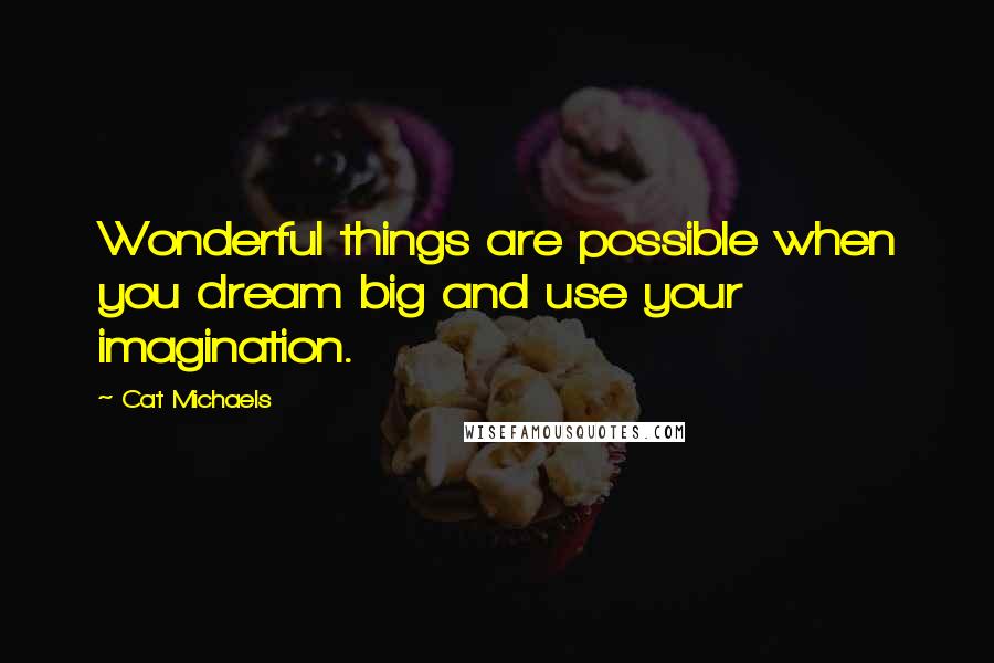 Cat Michaels Quotes: Wonderful things are possible when you dream big and use your imagination.