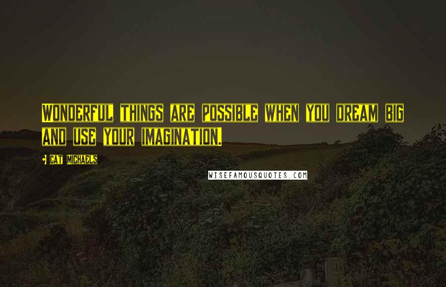 Cat Michaels Quotes: Wonderful things are possible when you dream big and use your imagination.